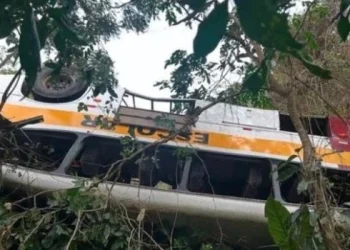 Al menos 18 muertos tras desbarrancar un micro en el nordeste de Brasil