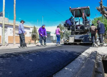 La motosierra en Mendoza: así evolucionó la planta de empleados municipales