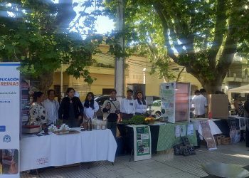 Las escuelas técnicas mostraron su talento y creatividad en la Plaza San Martín