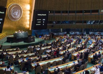 Argentina fue el único país de la ONU que votó en contra de una resolución para eliminar y prevenir la violencia contra las mujeres