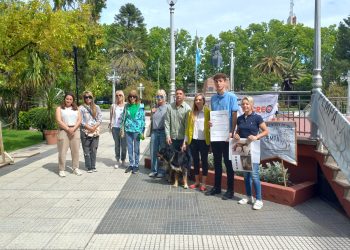 Maltrato animal: proteccionistas son querellantes contra el hombre que golpeó con gran violencia a «Ágata», que luego murió