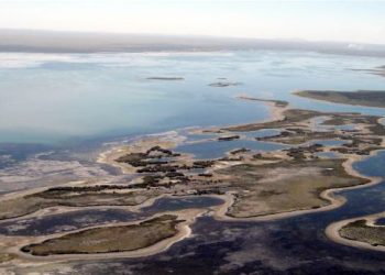 Ambientalistas señalan que el proyecto de litio está solo a 6 kilómetros del área protegida Laguna Las Salinas