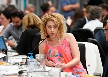 Lourdes Arrieta reveló las presiones en La Libertad Avanza tras la salida de Diana Mondino