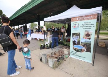 Se realizará el viernes la Expo-técnica 2024 Zona Sur en Plaza San Martín