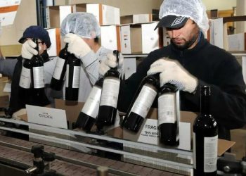 La industria del vino solicita un RIGI PyME para revitalizar el sector