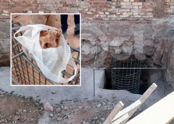 Macabro: hallaron un cráneo humano en una obra en construcción de Guaymallén