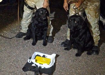 Gracias a la ayuda de perros, descubrieron casi un kilo de cocaína en Monte Comán