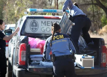 Provincia de Mendoza: Trágica muerte de una mujer que esperaba el colectivo