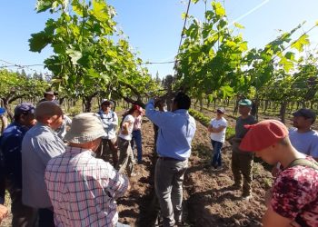 Capacitan a trabajadores rurales desempleados de la región