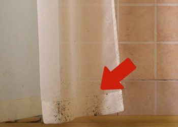 Cómo limpiar la cortina del baño y eliminar la acumulación de jabón para siempre
