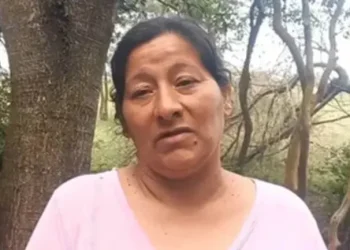 Caso Loan: el revelador audio de Laudelina a un comisario sobre lo que pasó con el niño
