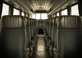 No es una simple costumbre: Qué significa elegir siempre el mismo asiento en el colectivo, según la ciencia