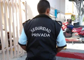 Seguridad Privada: las diferencias entre el Gobierno y las agencias que demoran a la nueva ley