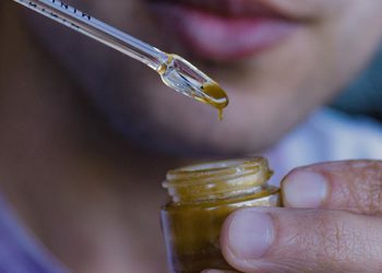 El Rosin Club y su tarea en el cultivo solidario y medicinal del cannabis en San Rafael