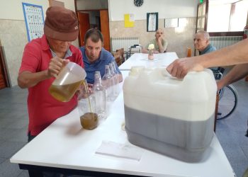 En el Hogar San Martín de Tours trabajan todos juntos para cosechar las aceitunas y embotellar su aceite de oliva