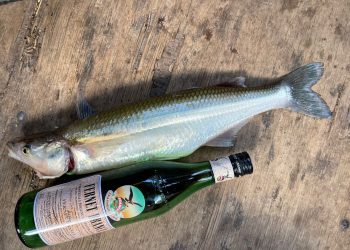 Pescadores exultantes por los pejerreyes de gran tamaño que salen en Agua del Toro