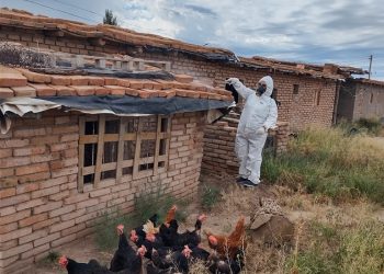 El fuerte trabajo territorial contra el Chagas en San Rafael