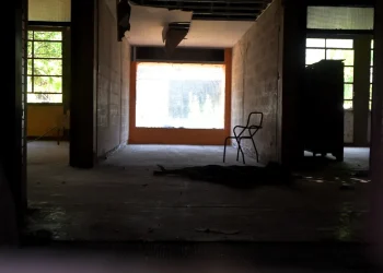 Los curiosos hallazgos en el ex hogar de ancianos: cráneos de vacas y vida tras el sismo que destruyó Mendoza