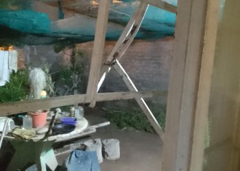 Vecino vive «preso» en su propia casa por la inseguridad: víctima de nueve robos pide que la justicia actúe