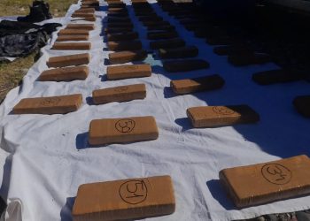 “Operación Camaleón”: la Policía Federal secuestró 50 kilos de marihuana que transportaba un agente penitenciario