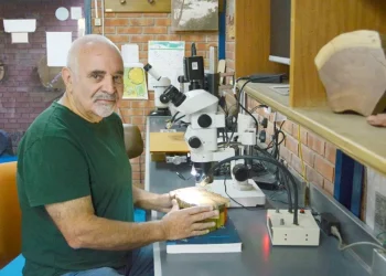 Investigador mendocino recibió un reconocimiento internacional: por qué dice que la madera es un código biológico