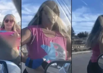 Video: casi la choca con el auto, se bajó a discutir y le mostró los pechos