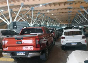 Cerca de 35 mil personas cruzaron de Mendoza a Chile para celebrar Año Nuevo