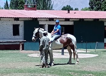 Tremo Kawell y el impulso de la inclusión: equinoterapia y alianzas estratégicas para transformar vidas