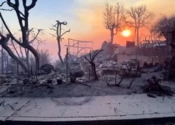 Aumentan a 24 los muertos por los incendios forestales de Los Ángeles