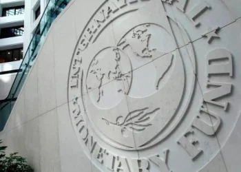 El FMI estima que la Argentina estará entre los 5 países con mayor crecimiento en los próximos años