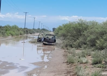 Provincia de Mendoza: Hallaron un cadáver calcinado en una camioneta e investigan un asesinato