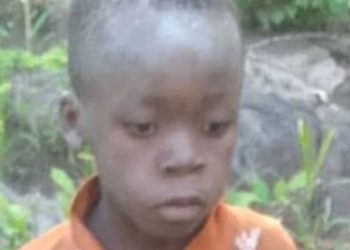 África: un nene de siete años sobrevivió cinco días en un Parque Nacional rodeado de leones y elefantes