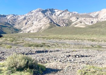 El Ejército Libertador y el Sur Mendocino