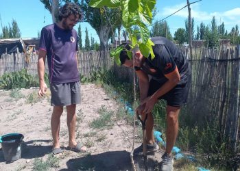 Desde “Reforestando el planeta” plantaron el árbol número 100