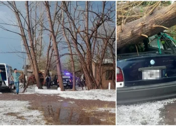 Un muerto por la fuerte tormenta en el Este: lo aplastó un árbol cuando llegaba a su casa