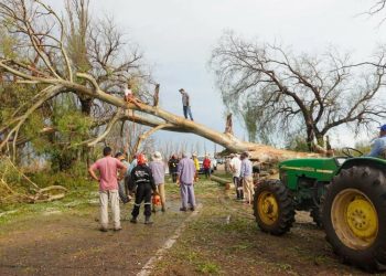 Solidaridad en Real del Padre: una vecina del distrito organizó una colecta para ayudara los más afectados