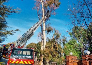Bomberos de Salto de las Rosas realizan poda de árboles para pagar los motores que rompió el combustible de YPF