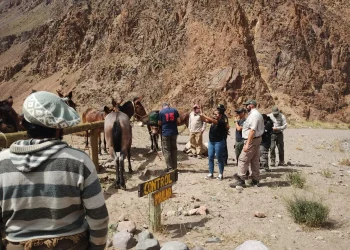 Maltrato animal en el Parque Aconcagua: dos detenidos y más de 70 mulas rescatadas