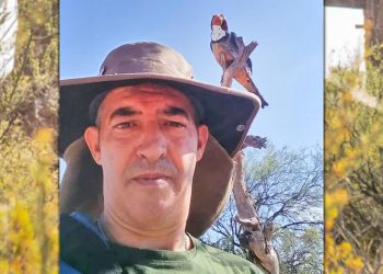 Lanzan una guía virtual especial sobre aves de la provincia de Mendoza