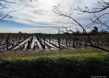 El impacto del desastre climático en Real del Padre y la respuesta de ACOVI