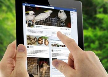 Polémica por la comercialización de mascotas a través de plataformas y redes sociales