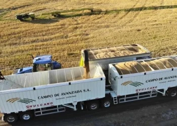 Otro default más en el agro y crece la preocupación