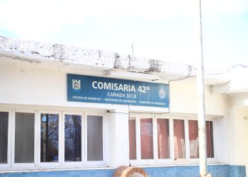 Alertan sobre la posible presencia de chinche del arce en la región