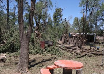 Despejan árboles y caminos del camping Rincón del Indio tras los destrozos causados por la tormenta
