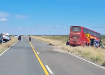 Conmoción en La Pampa: cinco personas murieron en choque frontal entre un colectivo y una camioneta