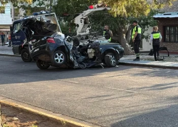 Provincia de Mendoza: Cuatro jóvenes murieron al estrellarse contra un árbol 