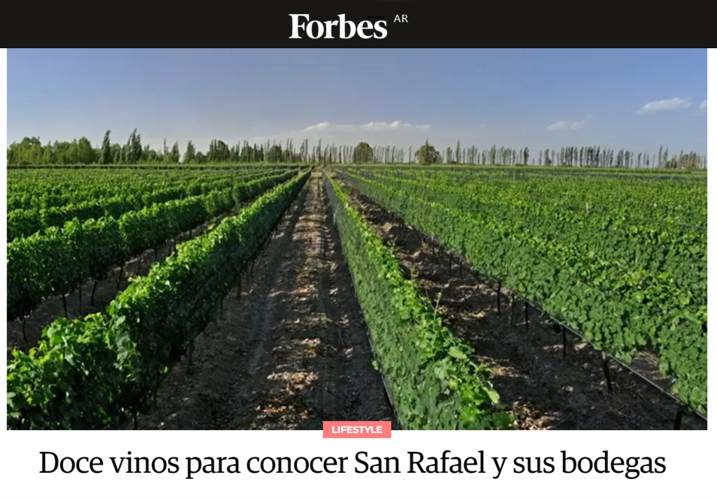 La revista Forbes destacó la producción vitivinícola de San Rafael ...
