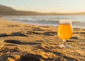 Video: se fue de vacaciones a Chile, abrió una lata de cerveza en la playa y deberá pagar una inesperada multa