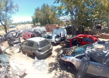 Operativo contra desarmadero ilegal en la Isla: encontraron 9 autos robados