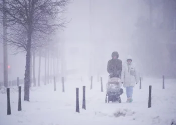 Polonia: tormenta de nieve deja 32.000 viviendas sin electricidad